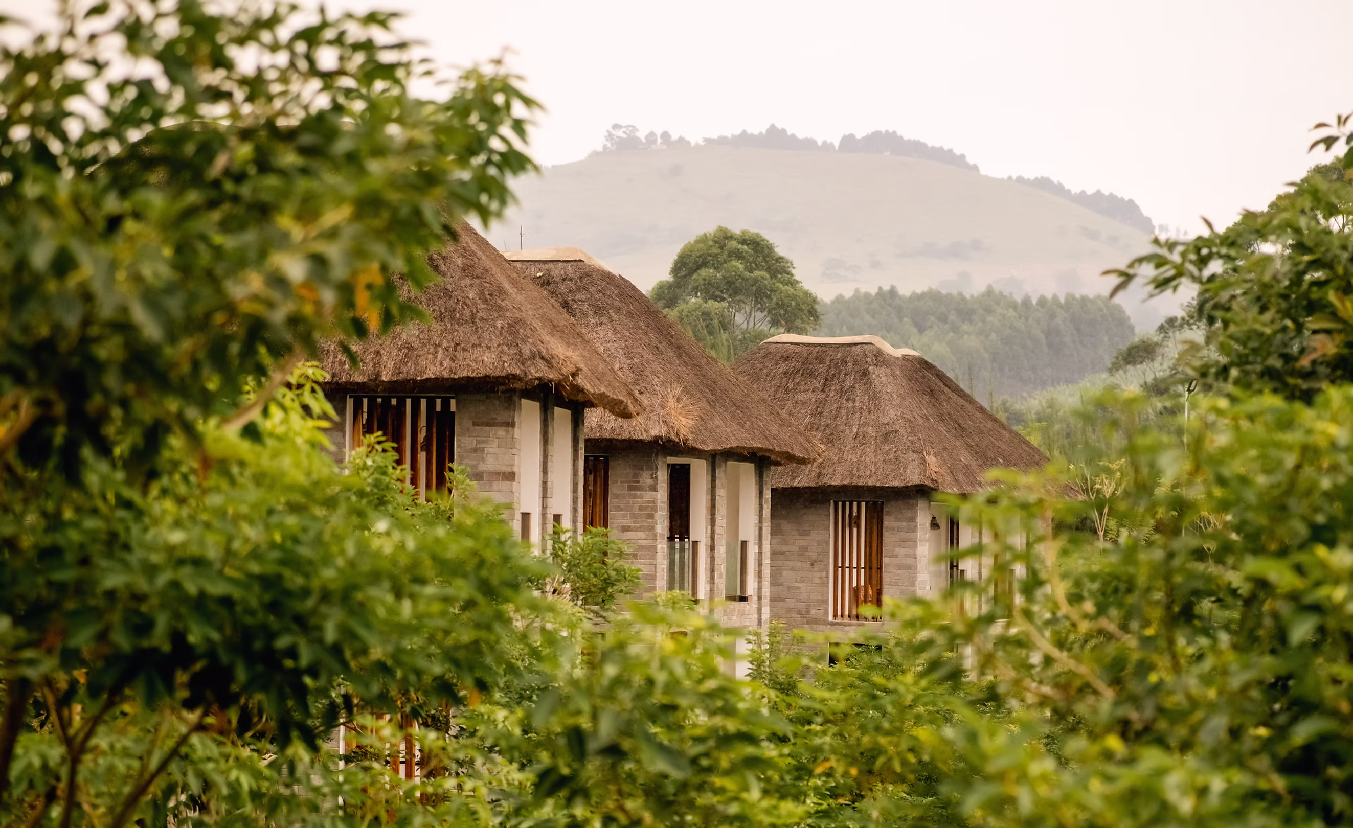 Photo of Tabebuia Spa and Safari Resort